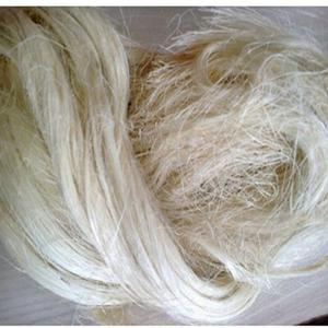 Fibra de sisal en bruto, respetuosa con el medio ambiente al por mayor, para hilar y fabricar cepillos y cuerdas - Product Image 2