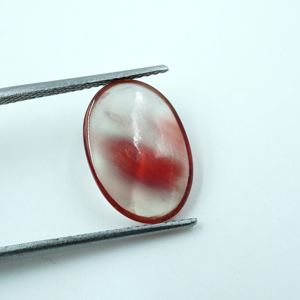 Cabujón de piedras preciosas de corte ovalado de coral natural para la fabricación de joyas de Mongolia - Product Image 5