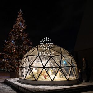 Tente dôme en verre avec base Igloo Grands dômes Bois Nid d'abeille Kit géodésique <span class=keywords><strong>Polycarbonate</strong></span> - Product Image 4