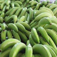 Cavendish Banane Vert Fruits Tropicaux Style Frais Prêt à Exporter 100% Naturel Biologique du Vietnam - Product Image 4