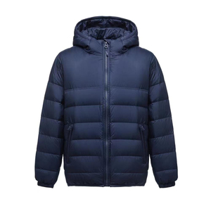 Veste matelassée pour homme, nouvelle collection automne-hiver 2025, sur mesure, tissu mat, capuche, chaude, ample, coupe-vent, rembourrée, vente en gros, OEM - Product Image 1