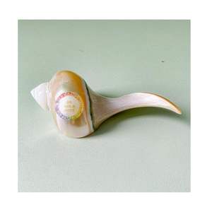 ที่วางช้อนส้อมและมีดสำหรับร้านอาหารเปลือกหอยมุกสุดหรูปลอกเทอร์โบสำหรับงานปาร์ตี้ยังเป็นที่วางซิการ์ - Product Image 1