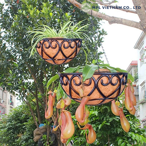 Maceta Colgante de Acero MPLVN CTSDN con Revestimiento de Fibra de Coco, Ecológica y Duradera, Capacidad de 20 kg, para Decoración de Jardín, Balcón Exterior - Product Image 5