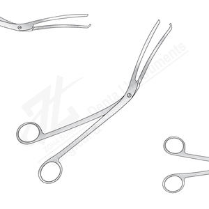 Producto de alta calidad Cheatle Esterilizador Fórceps Junta de tornillo 267mm Fabricante de acero inoxidable quirúrgico en Pakistán - Product Image 1