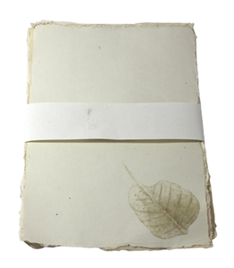 Suministros escolares Deckle Edge (bordes naturales) Cabezas de letras A4 con las impresiones de hojas frescas reales Juego de papelería - Product Image 1