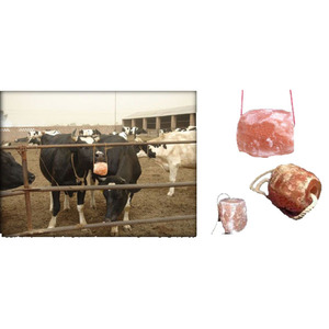 Bloque de sal para lamer animales del Himalaya, alimentación Animal, sal orgánica, grado a, grado alimenticio, Mineral, 1,2Kg - Product Image 6