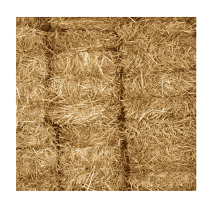 Fardos de heno de paja de trigo seco de primera calidad, la venta para forraje a KSA, ganado, cerdo, caballo, oveja, cría de piensos para animales - Product Image 5