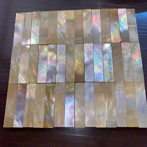 Pièces de nacre brutes et polies, matériau de coquillage pour mosaïque, décoration de meubles et fournitures d'artisanat, Vietnam - Product Image 1