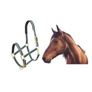 Nouvelle arrivée meilleure qualité réglable et Durable licou cheval fantaisie PP RE-PPH-0163 à bon prix - Product Image 3