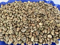 BEST SELLER 2024 - Grains de café vert torréfié vietnamien Robusta Daklak, sac de 1 kg, qualité certifiée, livraison rapide, prix avantageux, CAFÉ
