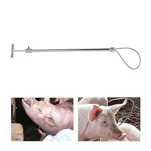 Piège portable écologique en acier inoxydable pour chien et animal solide avec options personnalisables - Product Image 3