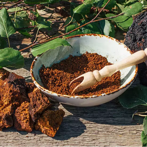 Extrait de Chaga Naturel en Vrac Qualité Exportation Produit à partir de Champignon Inonotus Obliquus Source pour Usage Alimentaire et Botanique - Product Image 1