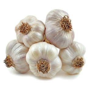 Ail blanc frais biologique dans des sacs de maille de 20kg/cartons de légumes de haute qualité à prix d'usine - Product Image 1
