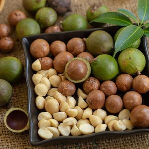 Vente en gros de noix de macadamia au prix d'usine Noix de macadamia naturelles de qualité supérieure en vrac pour les acheteurs mondiaux - Product Image 2