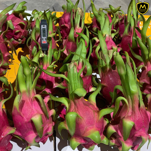 Fruit du dragon frais de qualité supérieure pour les marchés de gros et d'exportation du Vietnam - Product Image 2