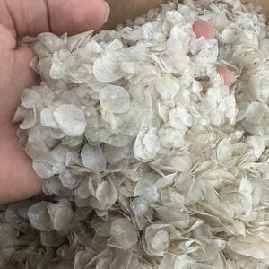เกล็ดปลาแห้งแบบพรีเมี่ยมปลากะพงขาวธรรมชาติและเกล็ดปลานิลคอลลาเจนสูงผลิตจากเวียดนาม