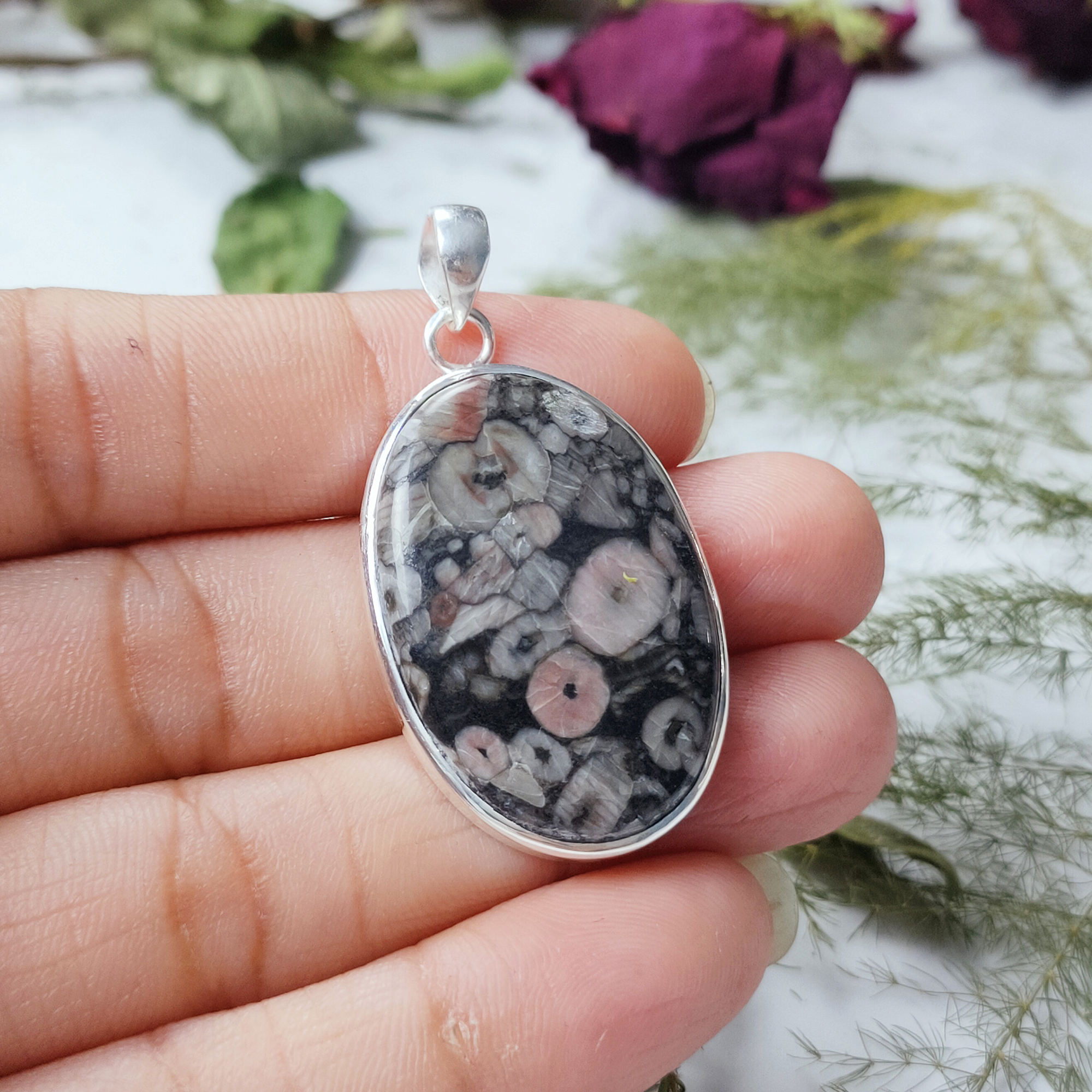 Jaspe de météorite