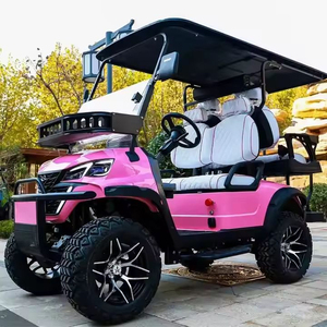 รถกอล์ฟไฟฟ้าราคาประหยัด EEC รถเข็นกอล์ฟไฟฟ้า แบตเตอรี่รถยนต์ไฟฟ้า รถยนต์ไฟฟ้ามือสอง รถยนต์ไฟฟ้าใหม่สำหรับผู้ใหญ่ รถเข็นกอล์ฟใหม่ - Product Image 2