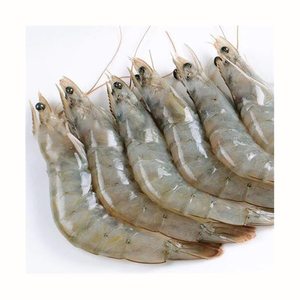 Camarones Vannamei Congelados IQF, Procesados para Restaurantes - Product Image 1