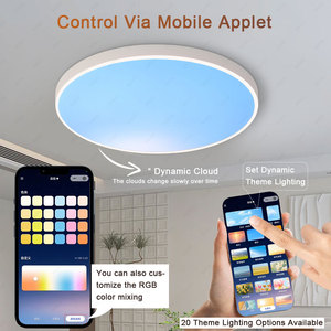 Thích Hợp Cho Nhà Hiện Đại 50W 7500LM Thay Đổi Độ Sáng Ánh Sáng Trần Siêu Mỏng Chuyển Đổi Điều Khiển Bề Mặt Tròn Gắn Tự Nhiên Skylight - Product Image 4