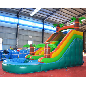 Toboggan aquatique gonflable en PVC à prix d'usine pour adultes avec ballon de plage pour une utilisation à domicile en intérieur/extérieur dans les écoles, les fêtes et les locations - Product Image 3