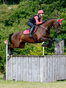 เบาะอานม้าภาษาอังกฤษแบบสบายๆทนทานดีไซน์ผ้าระบายอากาศได้แผ่นบุด้านในนุ่มสบาย - Product Image 6