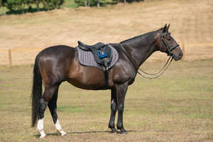 Tapis de cheval de dressage en daim olive Tapis de selle élégants - Product Image 6