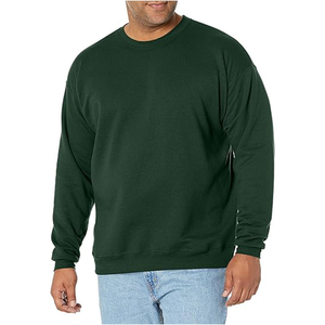 2025 nouveauté haute qualité 100% coton haute qualité personnalisé sweat costume sweats à capuche chemises sweats à capuche pour unisexe - Product Image 1