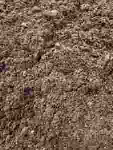Sphagnum Peat Moss Terreau de rempotage spécialement formulé pour les plantes en pot Culture en serre et application en pépinière et jardin - Product Image 2