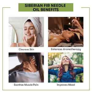 Huile Essentielle 100% Pure de Sapin Sibérien Bio Hydratante Éclaircissante Raffermissante & Nourrissante pour Soins Capillaires et Cutanés - Product Image 4