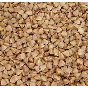 认证有机粉食品级麦麸粉75% 蛋白重要小麦面筋