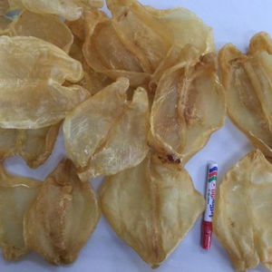 Ventes en gros de vessies de poisson Pangasius séchées prêtes à l'emploi, conçues pour les marchés internationaux, offrant une longue durée de conservation, une texture uniforme et une valeur élevée - Product Image 3