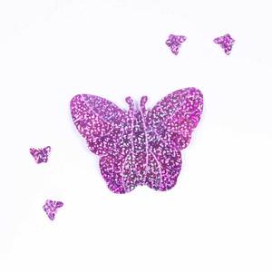 Sequin รูปร่างพิเศษสองด้านหลุมโฮโลแกรมสี - Product Image 1