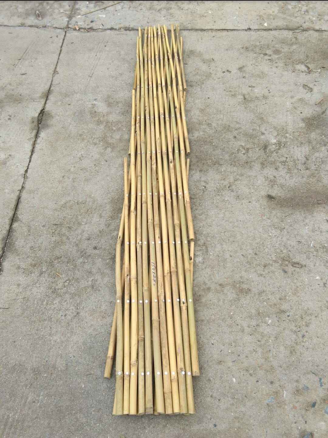 ธรรมชาติ