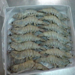 กุ้งธรรมชาติกุ้งแช่แข็งเนื้อหอยแบบไร้หัว - Product Image 3