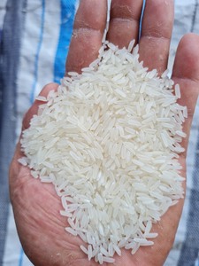 Riz parfumé Hom Mali de qualité supérieure du Vietnam, 2% de brisures, qualité supérieure, exportateur de premier plan, style séché, Whatsap Linda 0084 989 322 607 - Product Image 5