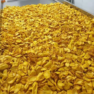 DEMANDE MONDIALE EXPORTATION DE FRUITS SECS | VIETNAM CRISPY SEC JACKFRUIT PREMIUM QUALITÉ - Product Image 2