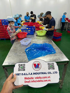 Ananas en conserve de qualité supérieure du Vietnam, meilleur exportateur au meilleur prix - Product Image 4