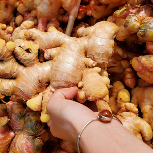 Jengibre fresco, jengibre fresco de proveedor vietnamita, jengibre fresco con buena calidad, vacaciones, gran oferta - Product Image 6