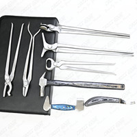 Kit d'outils de maréchal-ferrant en gros pince à sabot pince à ongles épandeur de chaussures équine pince à feu de forgeron manche en bois tampon inoxydable