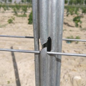 2024 vigneto zincato a caldo Post vendita diretta della fabbrica vigneto metallo Post - Product Image 4