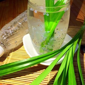 La gelatina de aloe vera es un aperitivo suave y a base de plantas que combina sabor y nutrición, ideal para personas que buscan ingredientes simples - Product Image 1