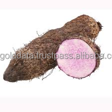 มันเทศสีม่วงแช่แข็ง iqf ระดับพรีเมี่ยม-ราคาที่ถูกที่สุดจากข้อมูลทองคำ99 - Product Image 4