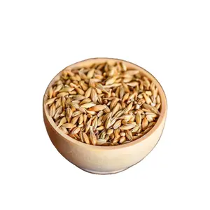 High Quality <b>Barley</b> for Animal Feed Available for Sale - Product Image 1
