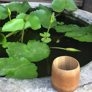 ถ้วยไม้ไผ่ส่งตรงจากโรงงานเวียดนาม - Product Image 1