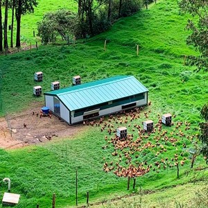 Continental Mobile Farmyard 90 M2 - Product Image 2