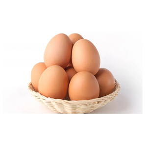 Tươi trứng gà/tươi gà bảng trứng trắng và nâu trứng cho con người tiêu thụ/trang trại Gà Thịt Trắng nở trứng gà - Product Image 3