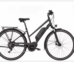 Vélo électrique 1861 pour adultes - 12 vitesses, roues de 24 pouces, batterie au lithium, freins à disque - Product Image 1