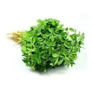 100% polvo de hojas de alholva Methi indio orgánico suplemento de grado alimenticio extracto de hoja cultivada salvaje cocinar especias a granel - Product Image 5