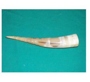Viking Drinking Horns With Horn Stand Made of Buffalo Horns Manufacturer and Exporter From India Modern Design - Product Image 1